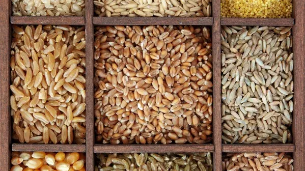 Legumbres y Cereales