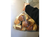BOLLITO DE ANIS 1K ESPECIALIDAD