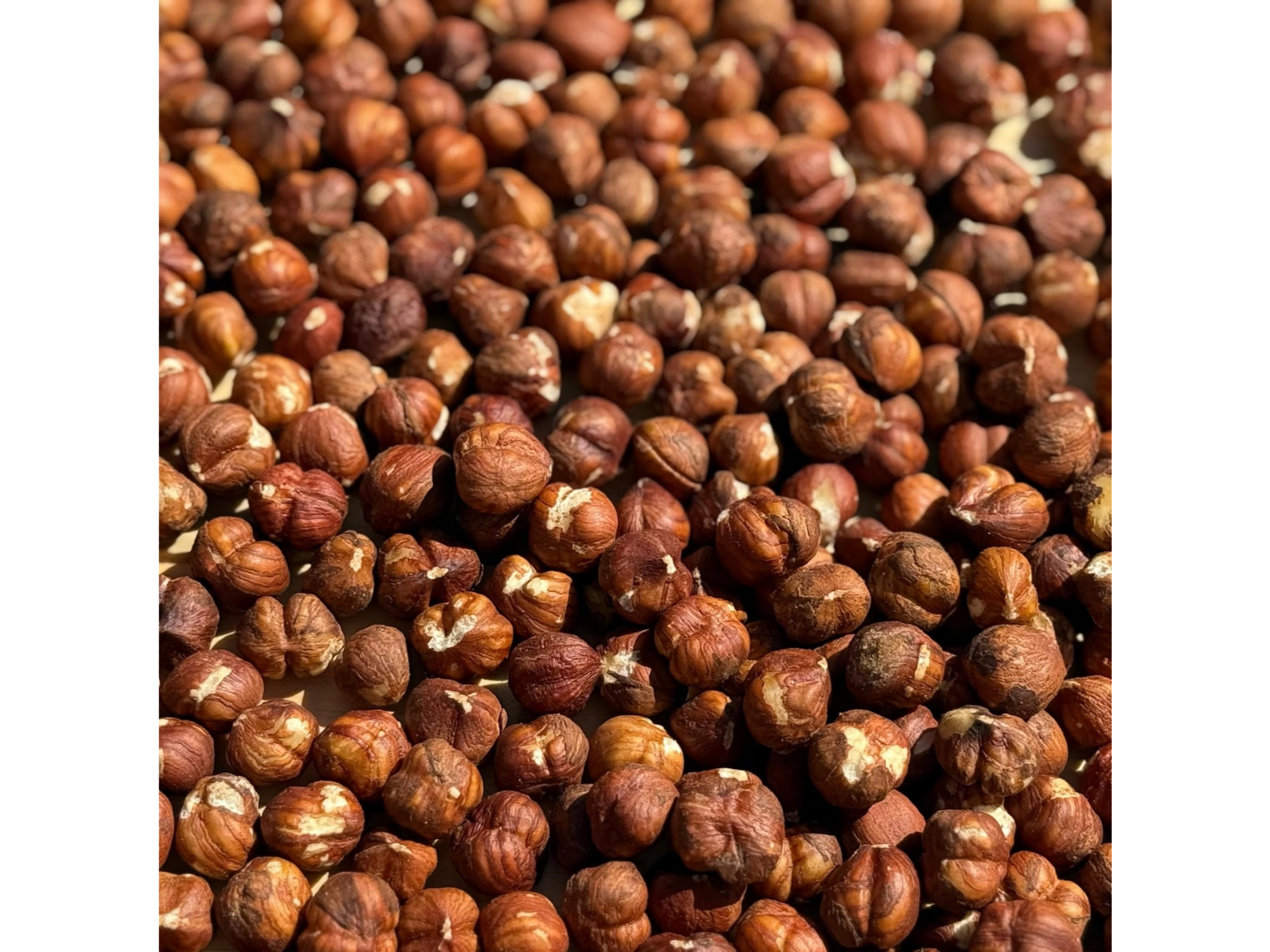 AVELLANA PELADA GRANDE X 1KG