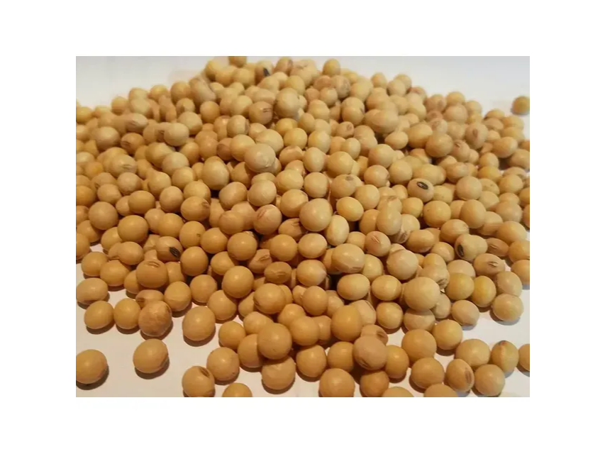 SOJA POROTO 1KG