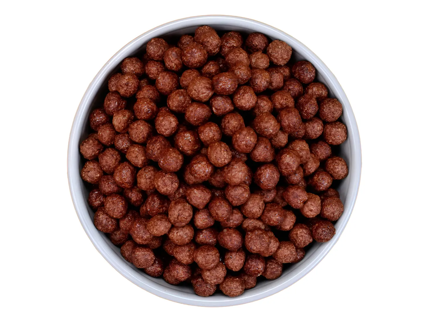 BOLITA 2,5  DE CHOCOLATE NUTRIFOOD