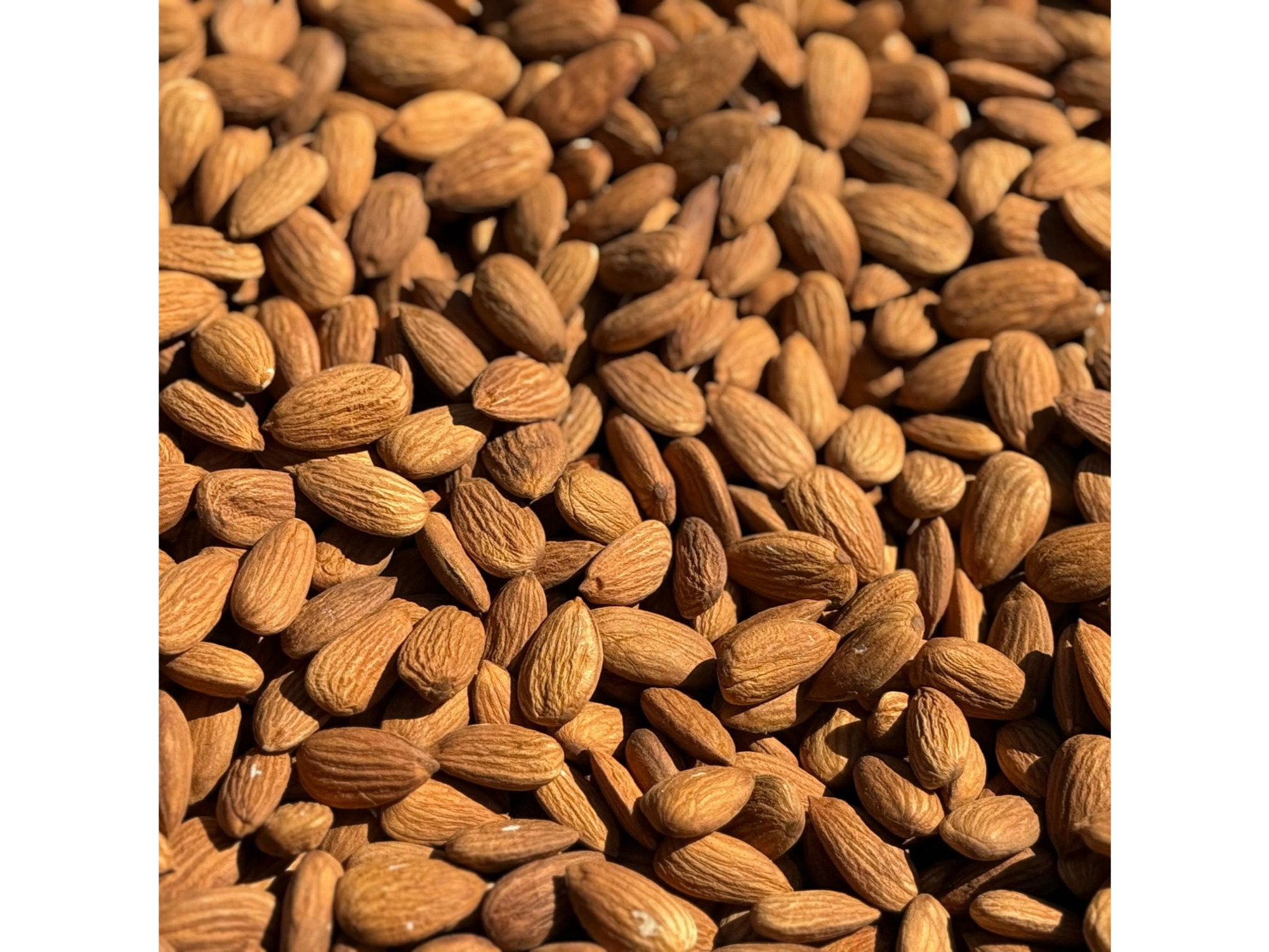 ALMENDRA X 250 GR ENTERA GUARA MED.