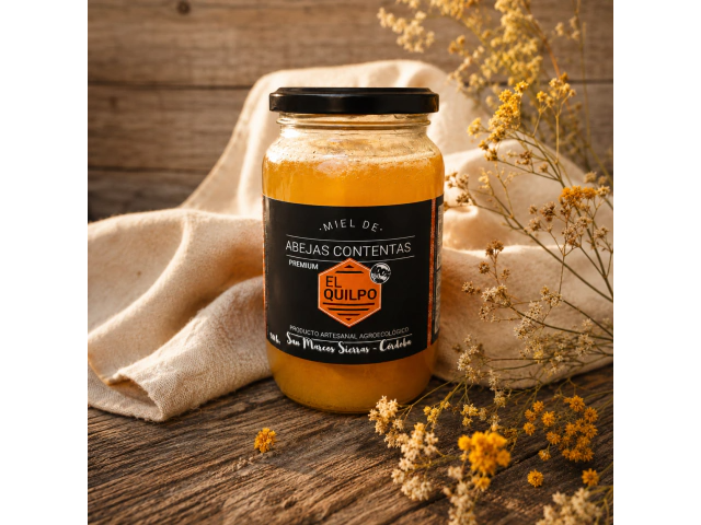 MIEL D ABEJA Pura X 450gr - EL QUILPO