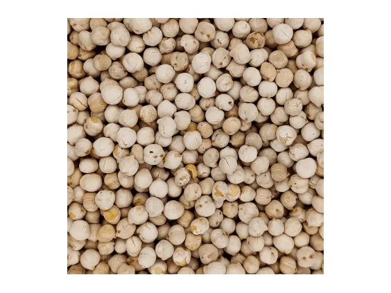 GARBANZO SELECCIONADO X 1 KG