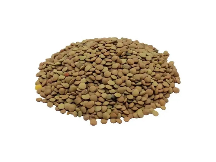 LENTEJA COMUN X 1 KG