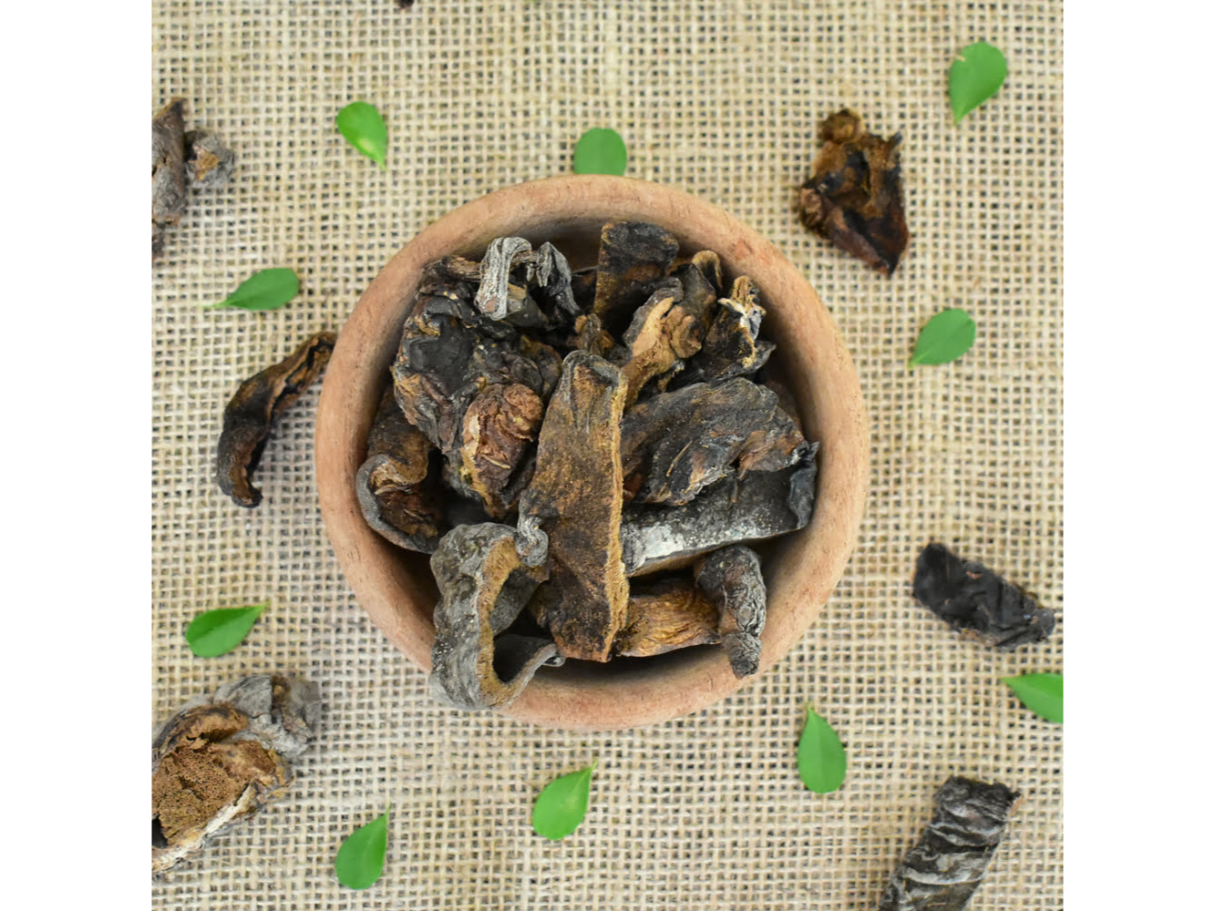 Hongos de Pino Deshidratado