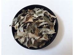 Congorosa