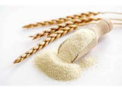 Gluten de Trigo Puro