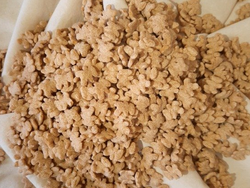 Cereal Ositos 2.5kg