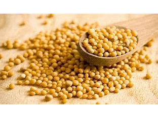 Semillas de Mostaza Entera