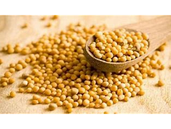 Semillas de Mostaza Entera