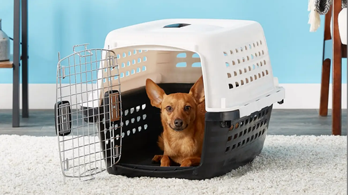 TRANSPORTADORAS , CASAS Y MOCHILAS