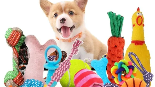 CARNAZA JUGUETES Y PREMIOS