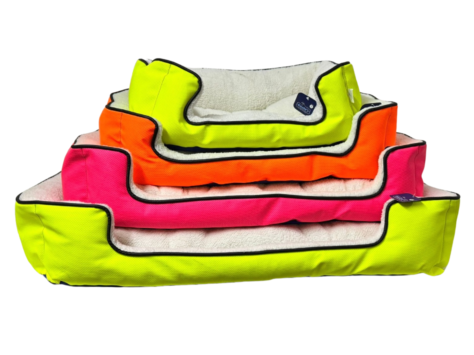 RECTANGULAR EXPLORER COLOR NEON