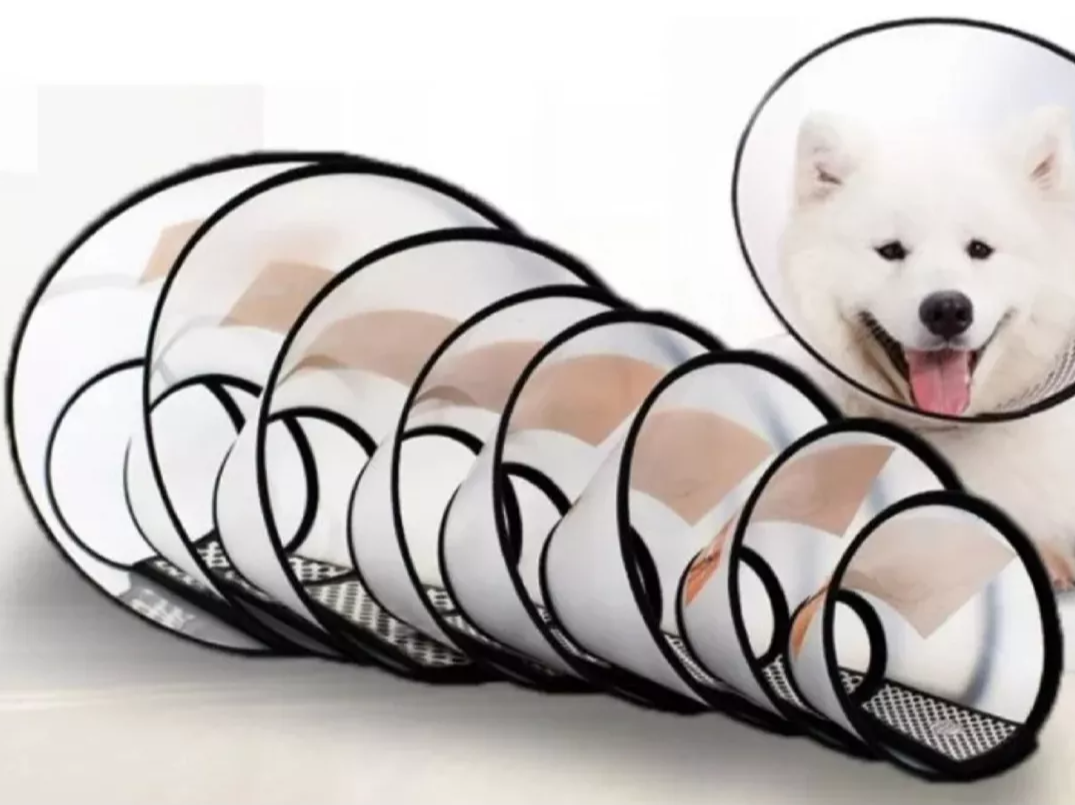 JUEGO DE COLLAR ISABELINO CONTACTEL 8 PIEZAS