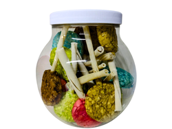 PAQUETE DE PALETAS DE CARNAZA 20 PIEZAS+ VITROLERO GRATIS