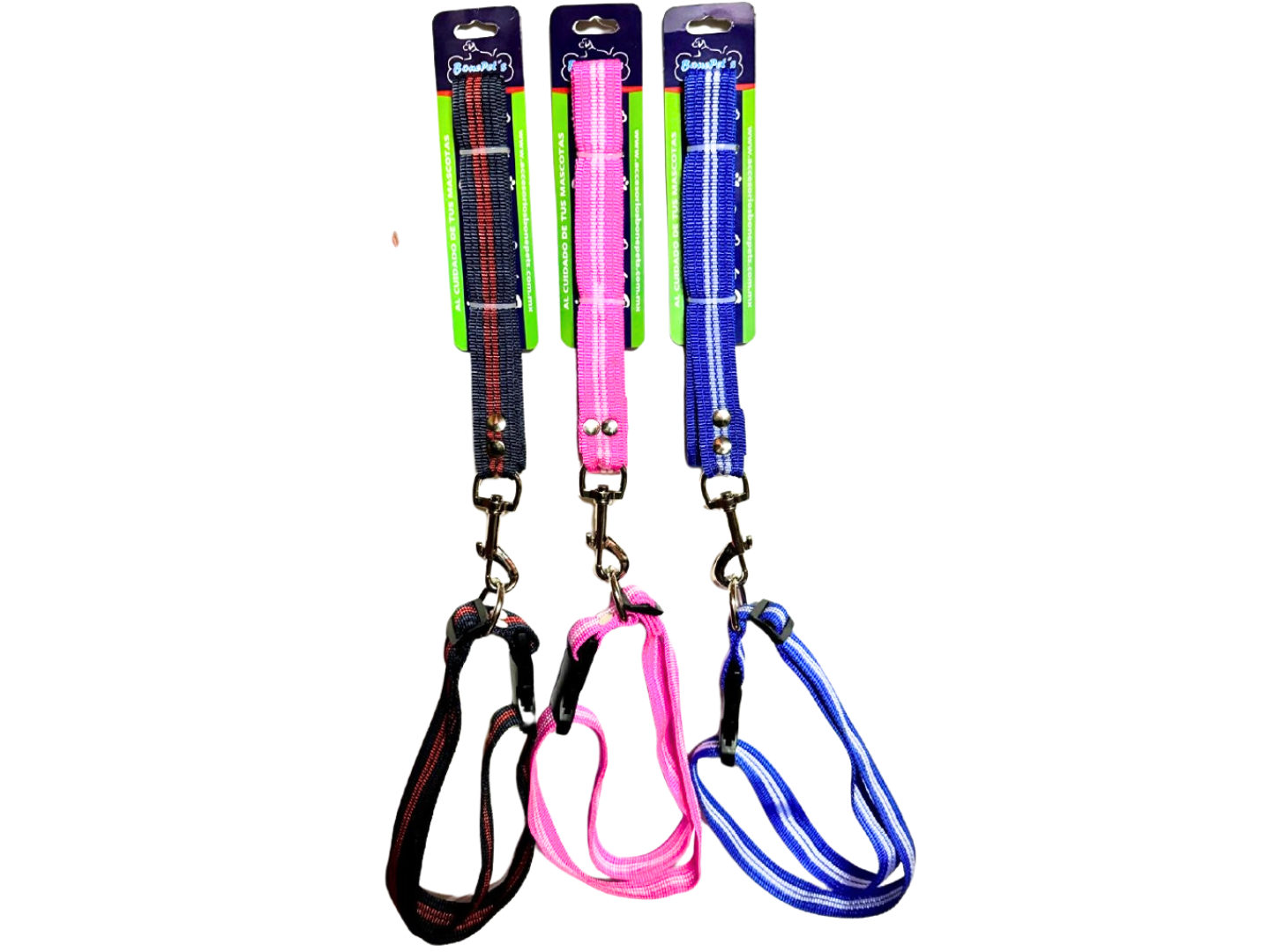 BON07 CORREA CON COLLAR 1" CINTA LISA