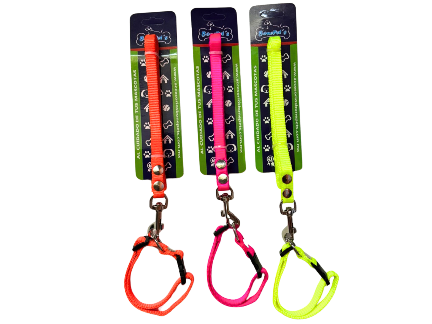 BON010 CORREA CON COLLAR 1/2 CINTA FLORECENTE