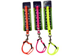 BON010 CORREA CON COLLAR 1/2 CINTA FLORECENTE