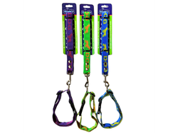 BON05E CORREA CON COLLAR 3/4 CINTA ESTAMPADO