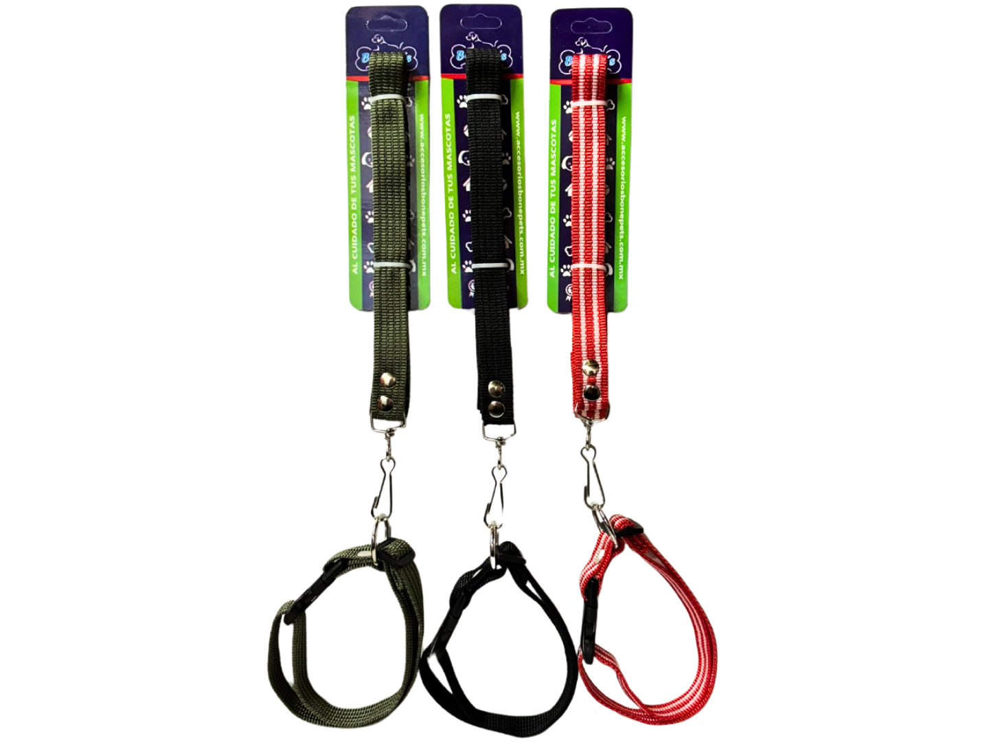 BON05 CORREA CON COLLAR 3/4" CINTA LISA