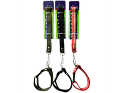 BON05 CORREA CON COLLAR 3/4" CINTA LISA