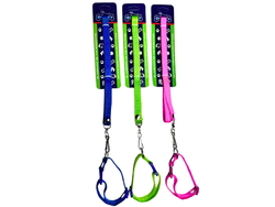 BON01 CORREA CON COLLAR 1/2" CINTA LISA