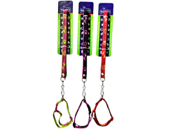 BON02 CORREA CON COLLAR 1/2" ESTAMPADO