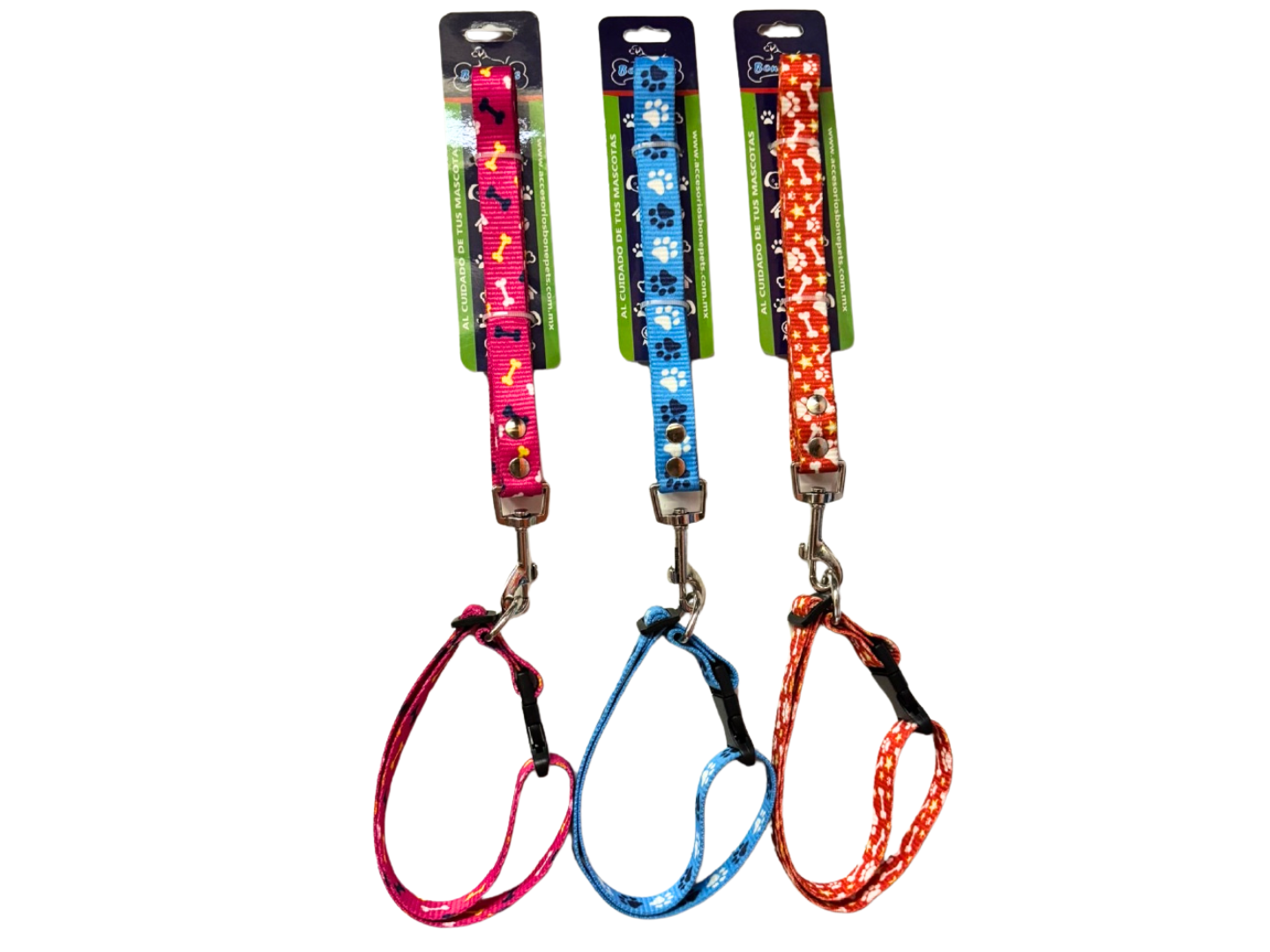 BON012 CORREA CON COLLAR CINTA IMPORTADA 21 MM