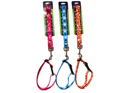 BON012 CORREA CON COLLAR CINTA IMPORTADA 21 MM