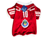 PLAYERA JERSEY CHIVAS