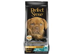 PERFECT SENSE CACHORRO MLB 8 KG