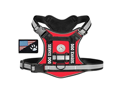 PECHERA TACTICA SERVICE DOG