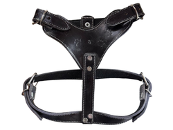 PECHERA PIEL MEDIANA COSCO GDE COLORES