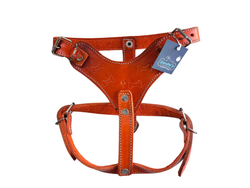 PECHERA PIEL MEDIANA COSCO MEDIANA COLORES