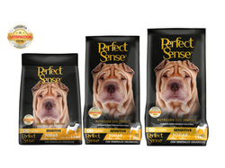 PERFECT SENSE SENSITIVE