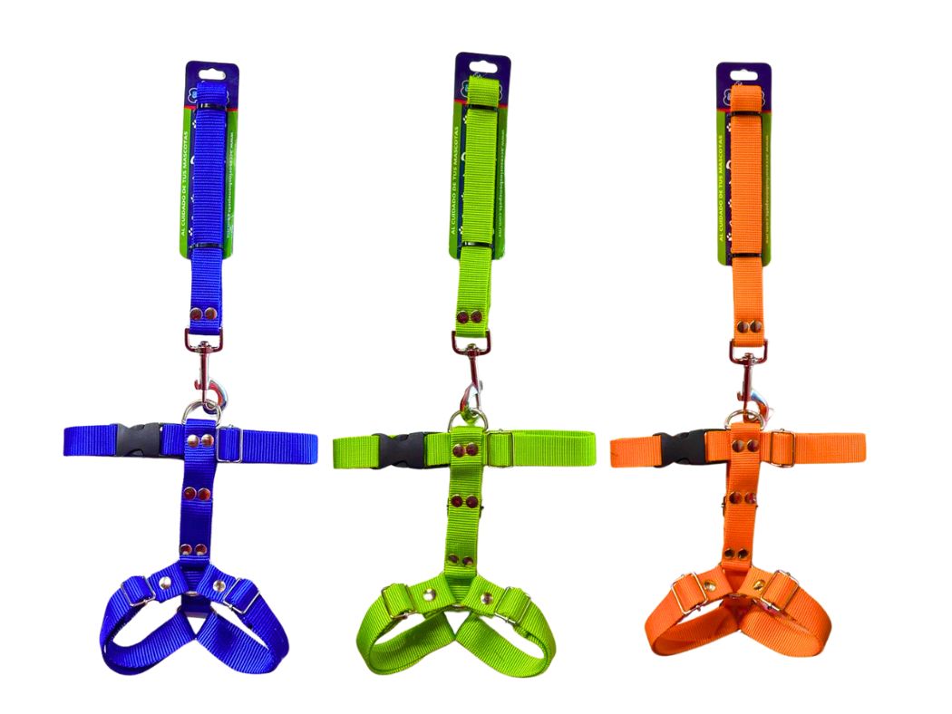 BON054 - CORREA CON PECHERA DE NYLON Y HERRAJE REFORZADO, CINTA 1"