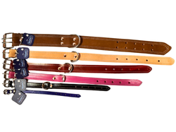 COLLAR PIEL COLORES