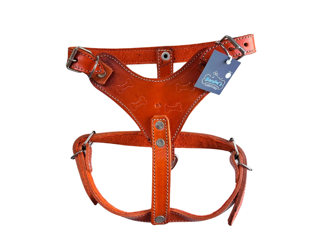 PECHERA PIEL MEDIANA COSCO MEDIANA COLORES