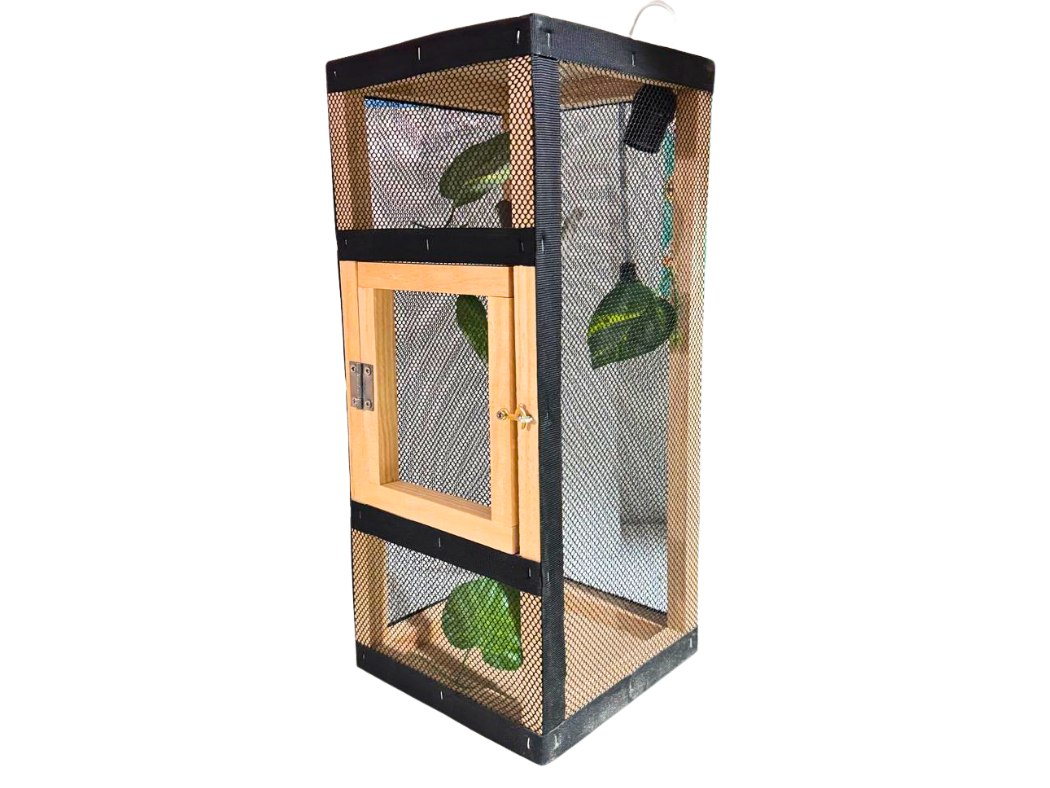 TERRARIO DE MADERA CHICO (20X20X50)