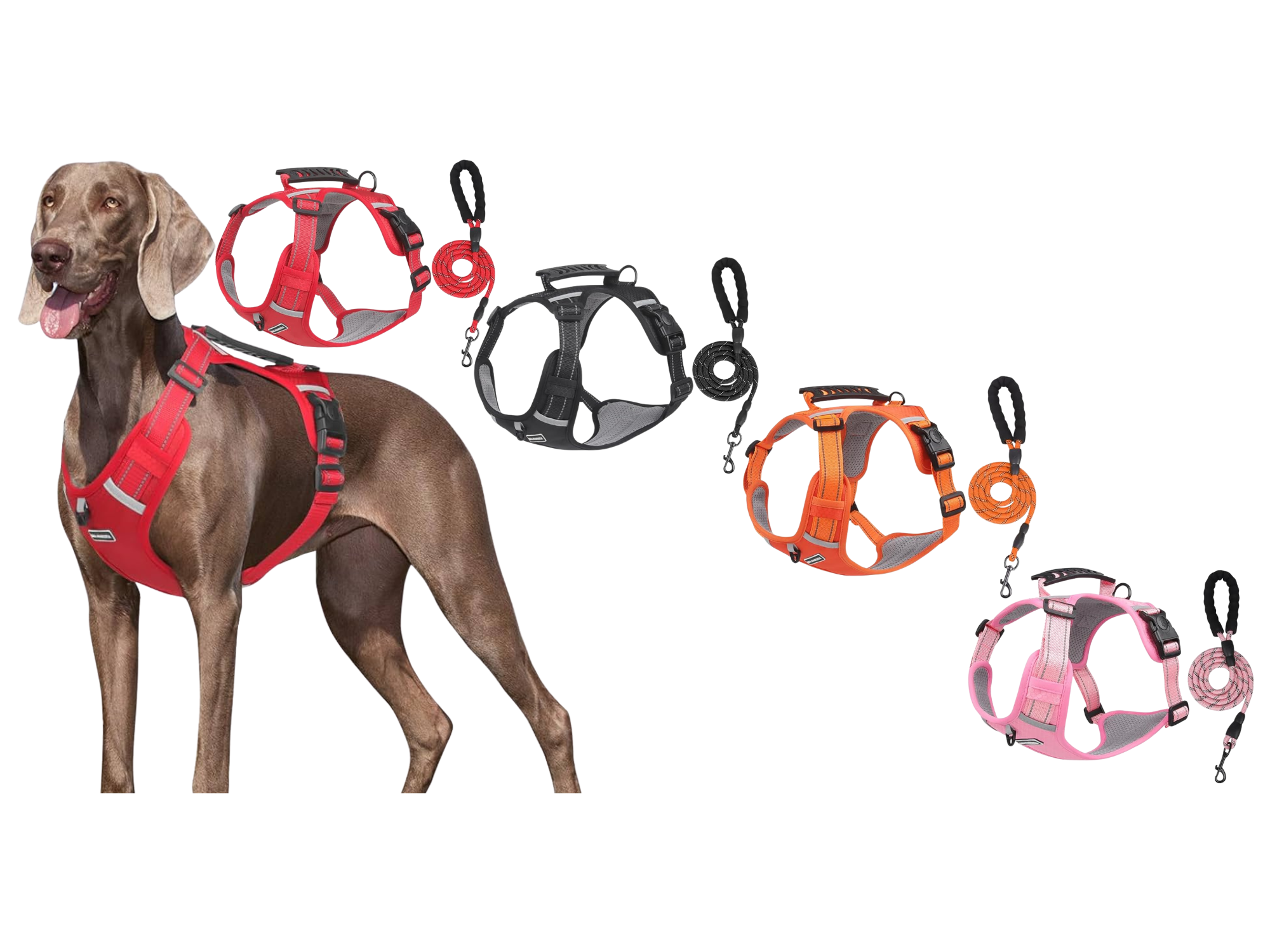 PECHERA ARNES DE SEGURIDAD C/CORREA COLORES