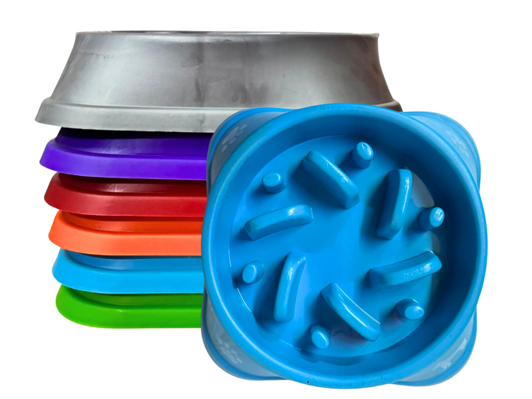 PLATO DE ALIMENTACION LENTA CUADRADO PAQ 6 PIEZAS