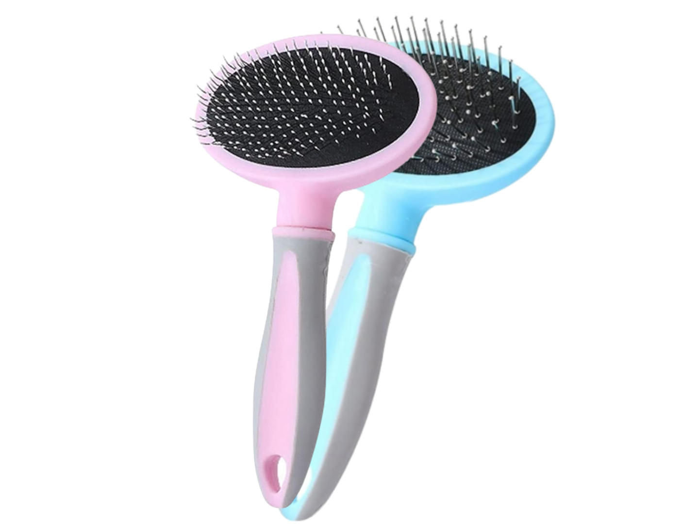 CARDA OVALADA COLORES