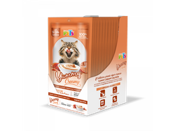CAJA DISPLAY YUMMY CREAMY P/GATO SALMON- 12 PZS