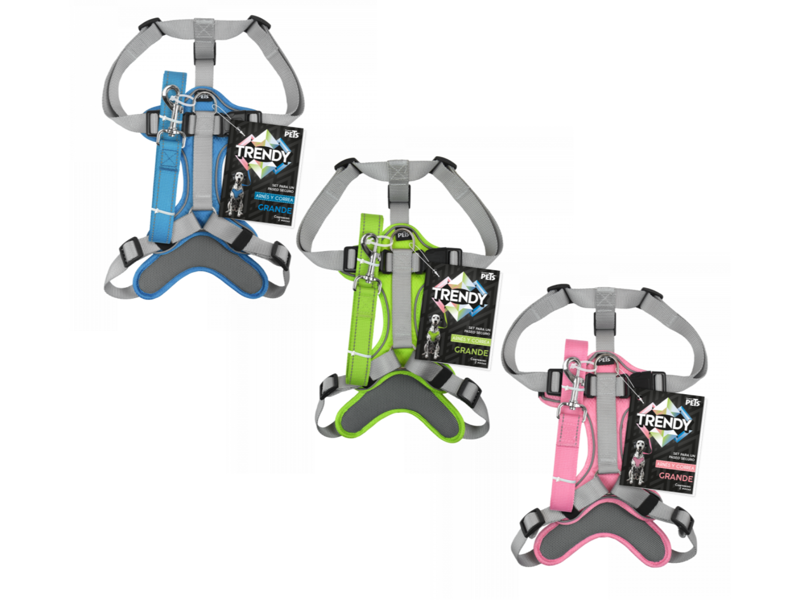 SET ARNES Y CORREA TRENDY GRANDE