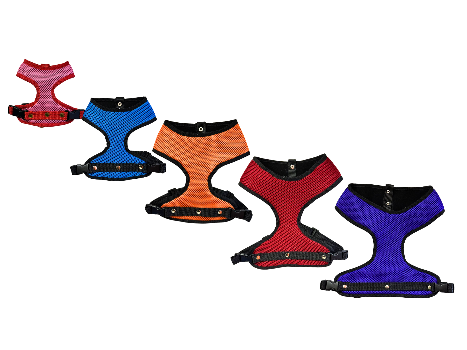 ARNES SPORT