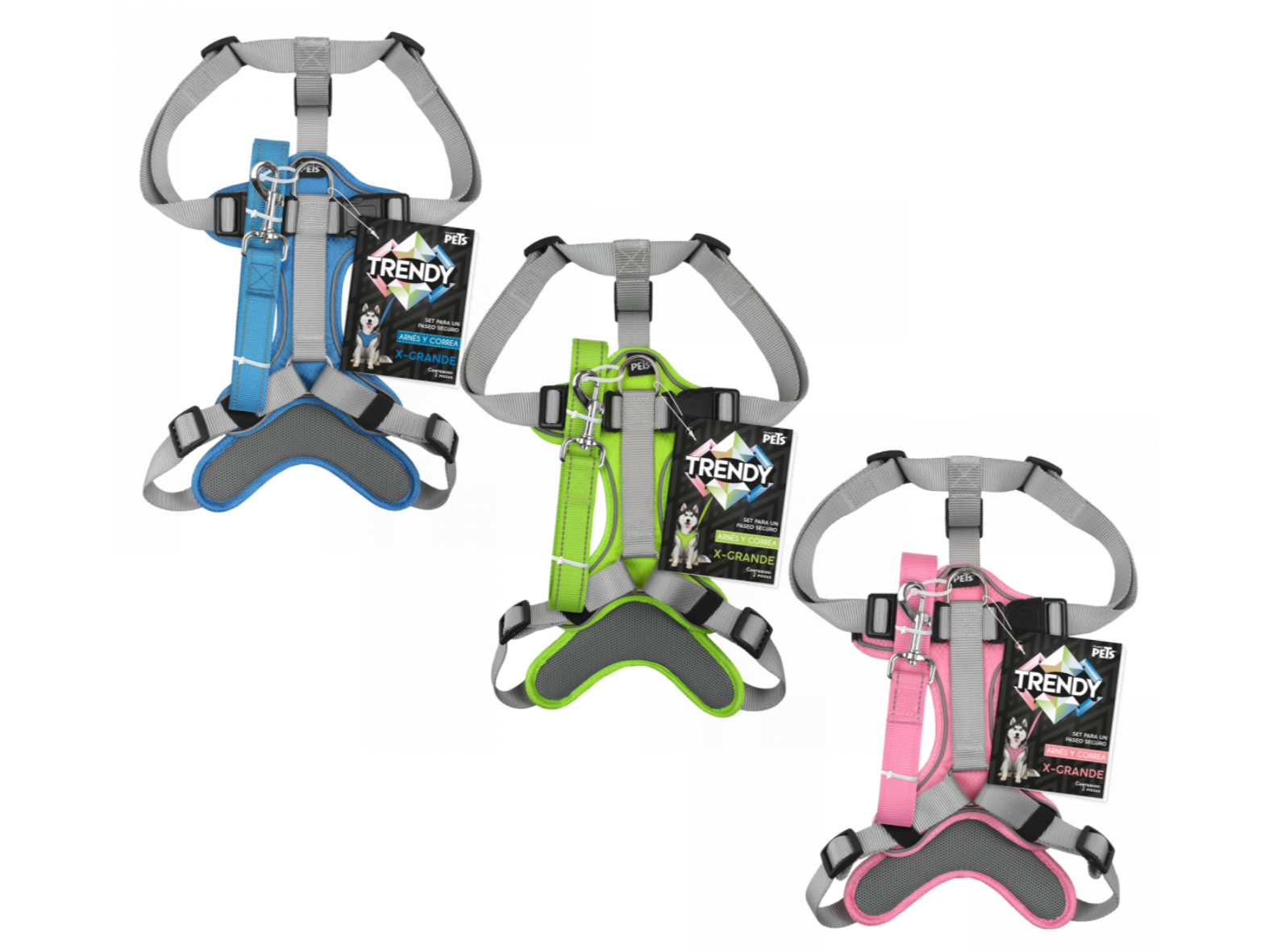 SET ARNES Y CORREA TRENDY XGRANDE