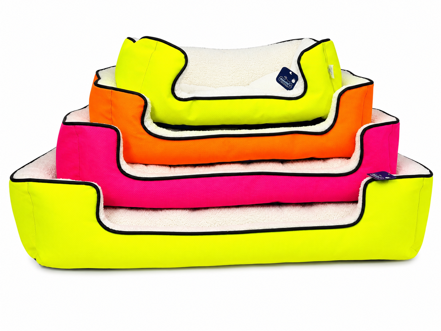RECTANGULAR EXPLORER COLOR NEON