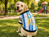 PLAYERA JERSEY SELECCIÓN ARGENTINA