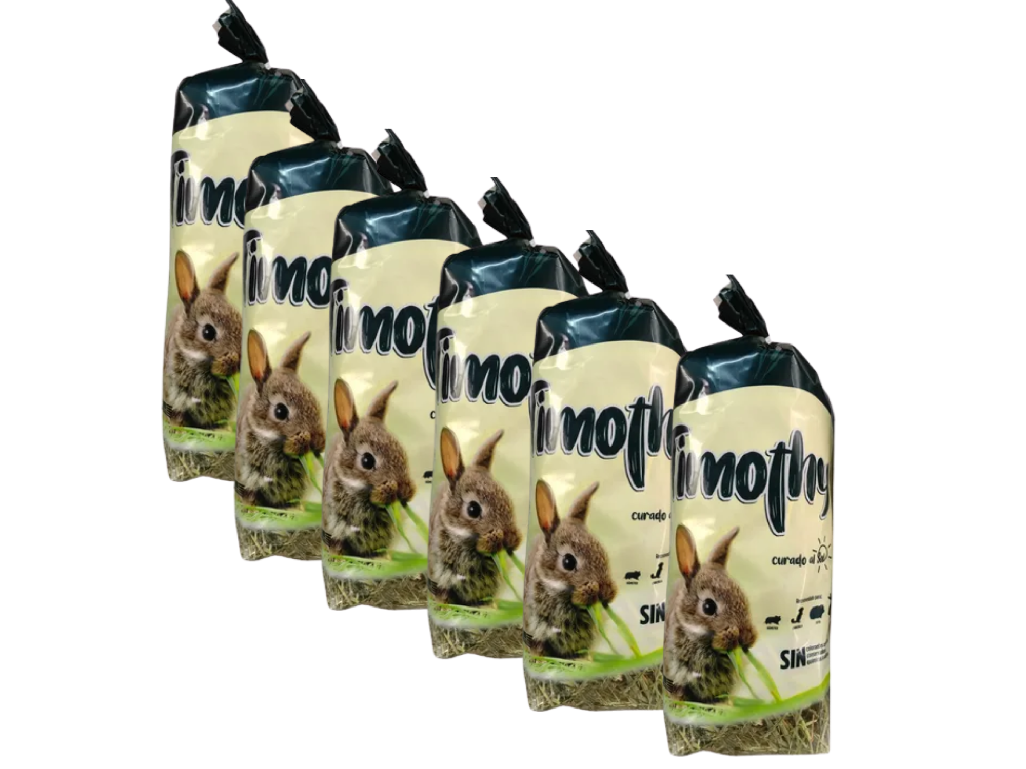 PAQ. 6 PIEZAS PREMIUM TIMONTHY